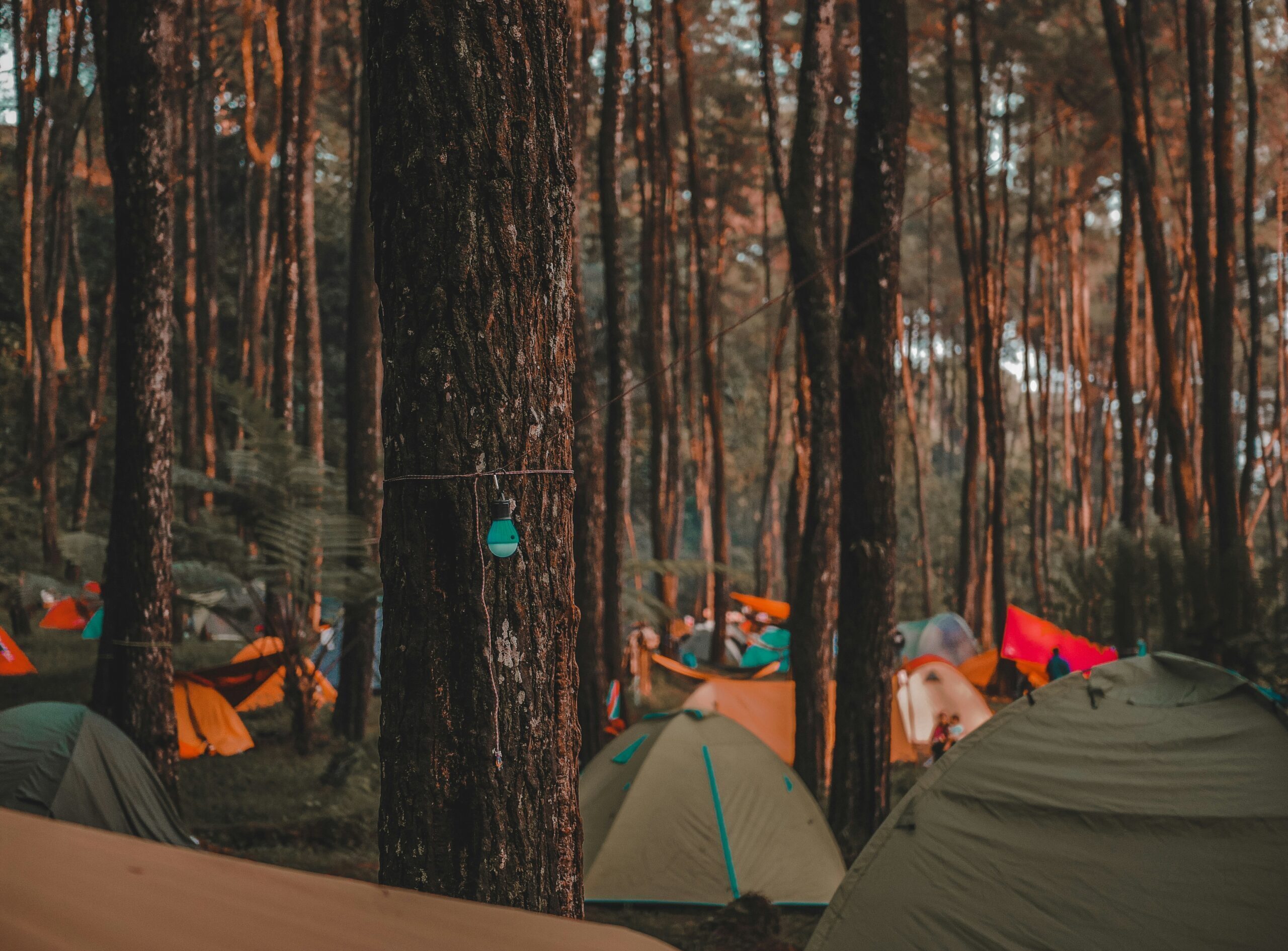 Rekomendasi Tempat Glamping di Sumatera Utara: Liburan Eksklusif di Alam yang Memikat